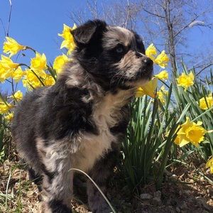 Meet your Posher, April